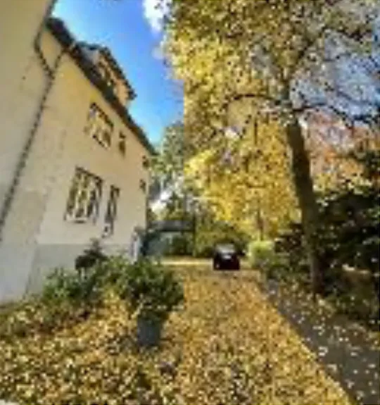 Theodor, Berlin Steglitz-Dahlem