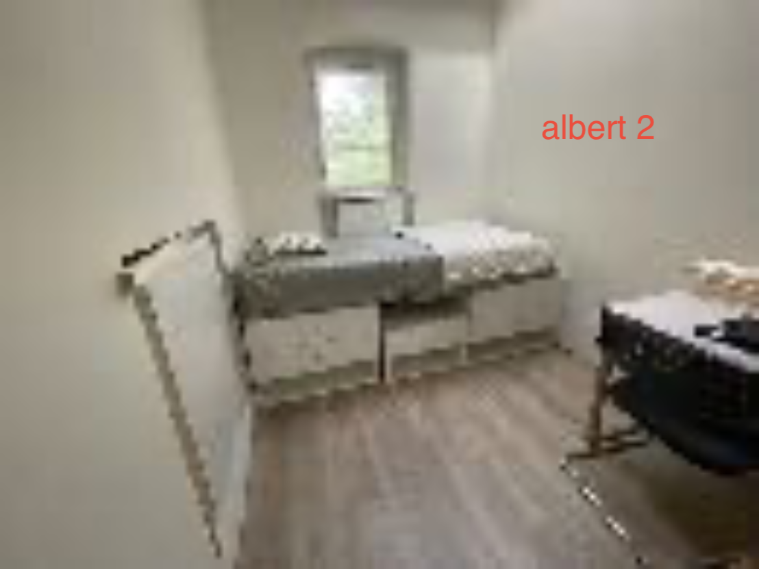 3.1 Albert